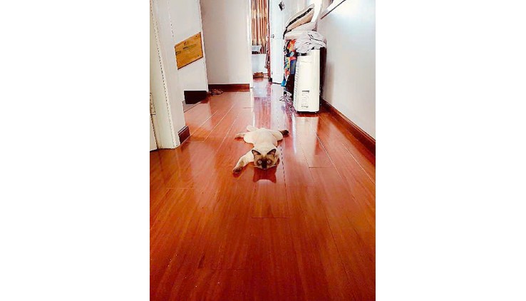 Bán nhà Quận 9-Hẻm Xe Hơi-191M2 -5m x 20m-Hoàn Công Đầy Đủ-Không Quy Hoạch-Giá Giảm Còn 7,4 Tỷ